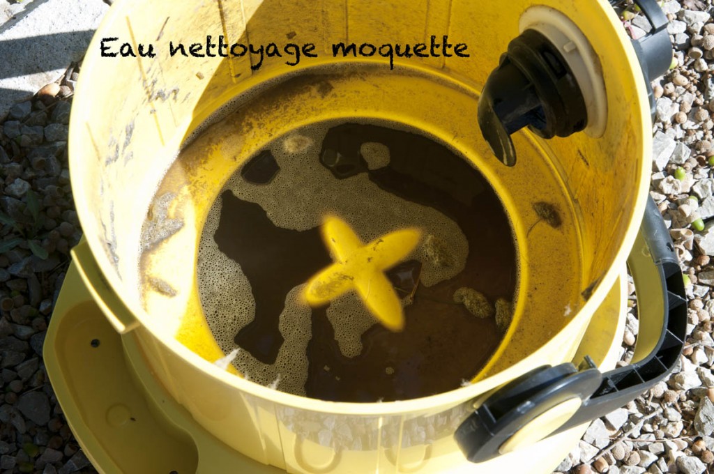 23 eau nettoyage moquette